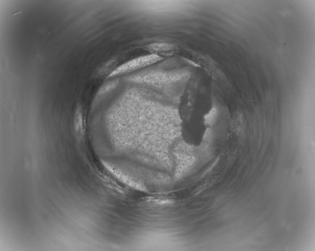 X0000069810763200606091835