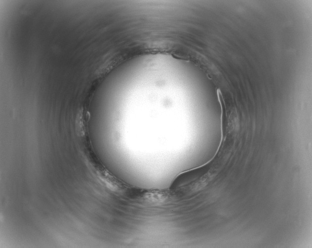 X0000069810764200606091835