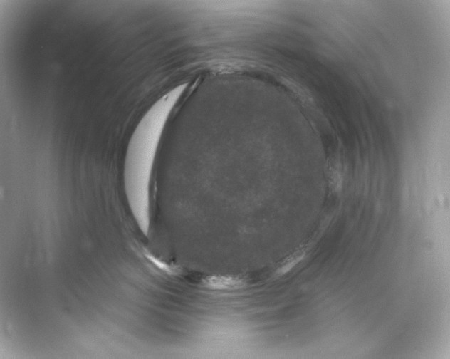 X0000069810766200606091835