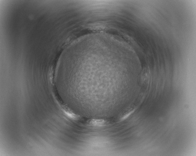 X0000069810767200606091835