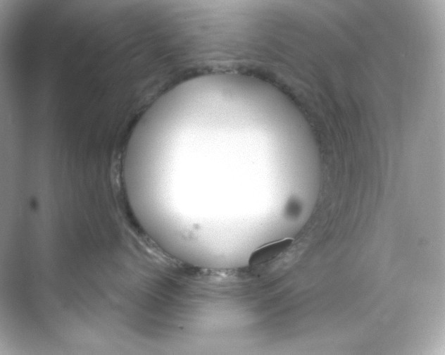 X0000069810768200606091835