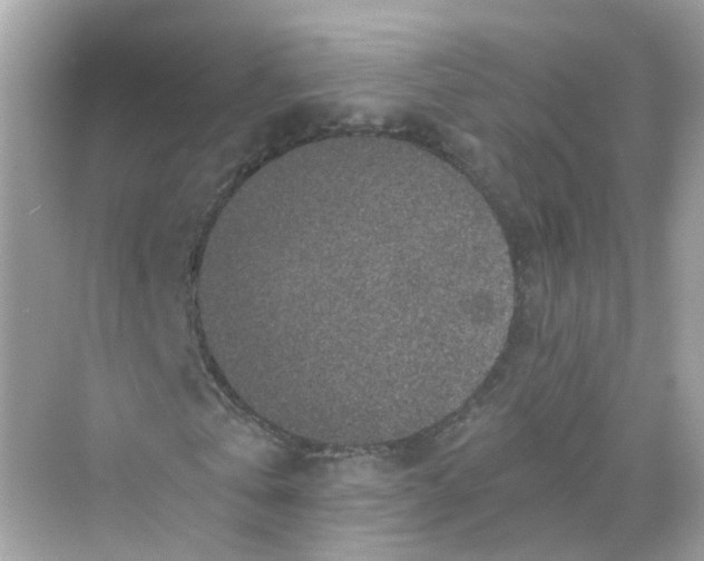 X0000069810769200606091834