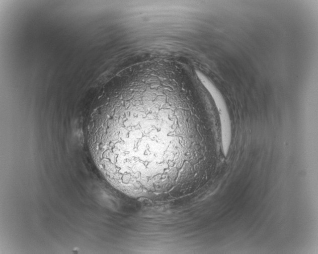 X0000069810771200606091834