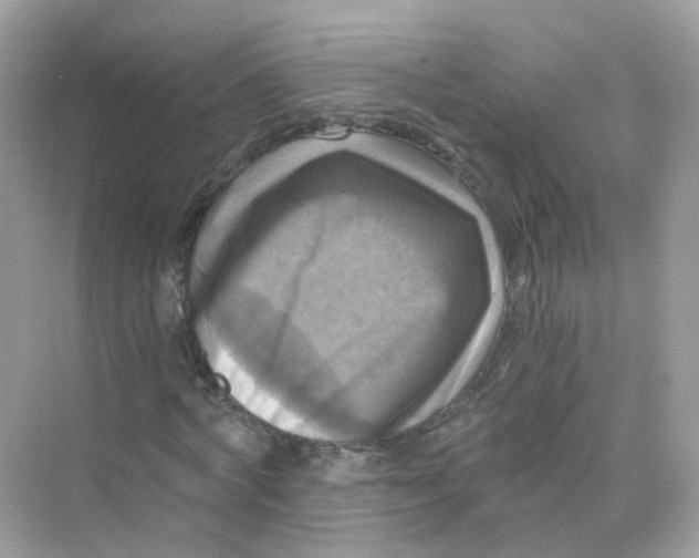 X0000069810772200606091834