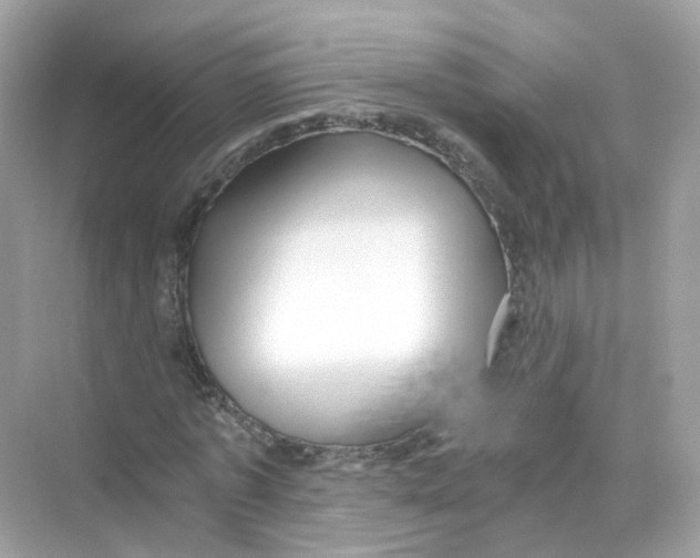 X0000069810773200606091834