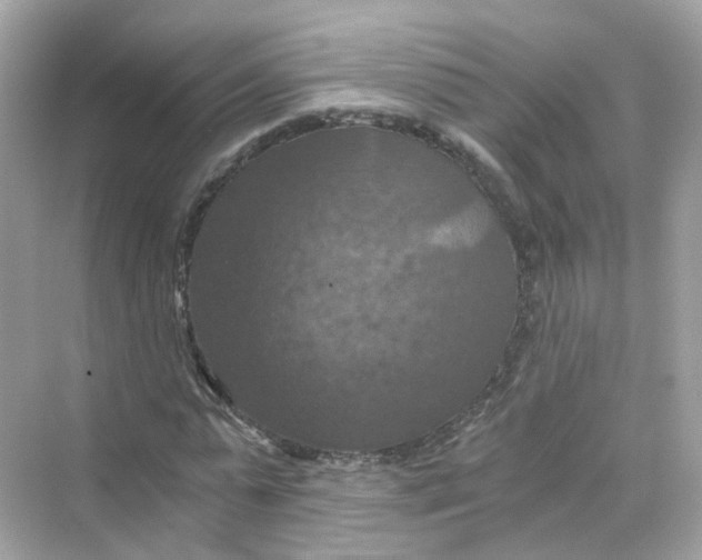 X0000069810775200606091834