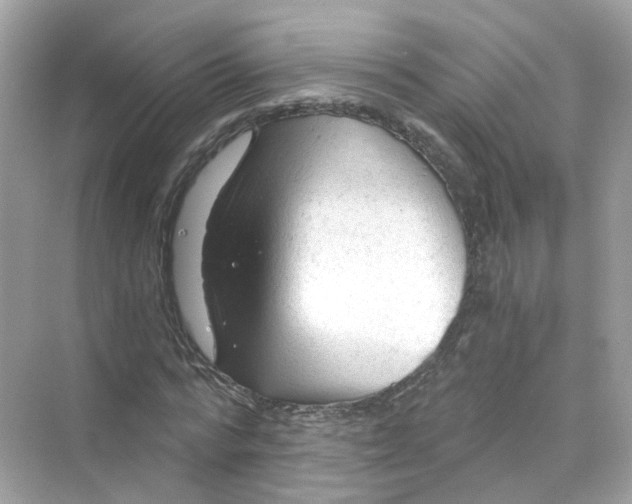 X0000069810776200606091834