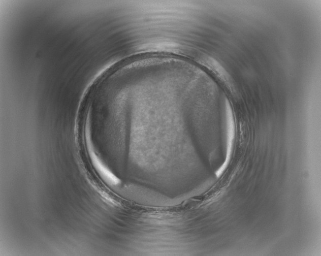 X0000069810780200606091834