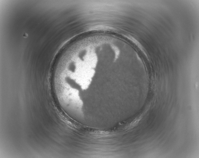 X0000069810783200606091834