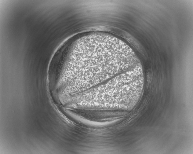 X0000069810784200606091834