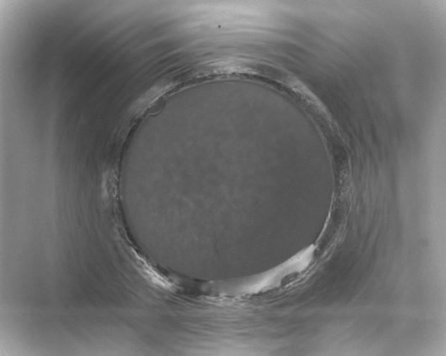 X0000069810785200606091834