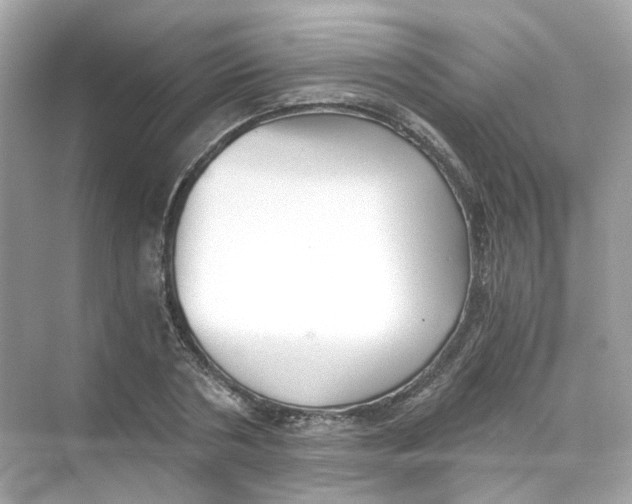 X0000069810786200606091834