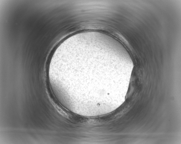 X0000069810787200606091834