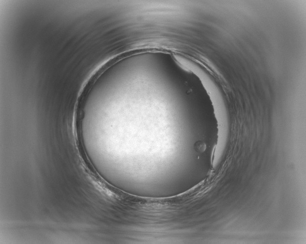 X0000069810788200606091834