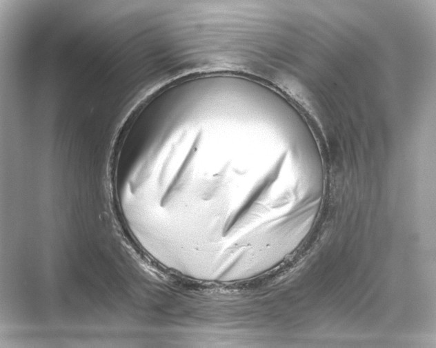 X0000069810789200606091834