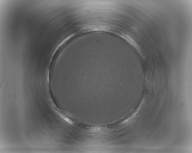 X0000069810790200606091834