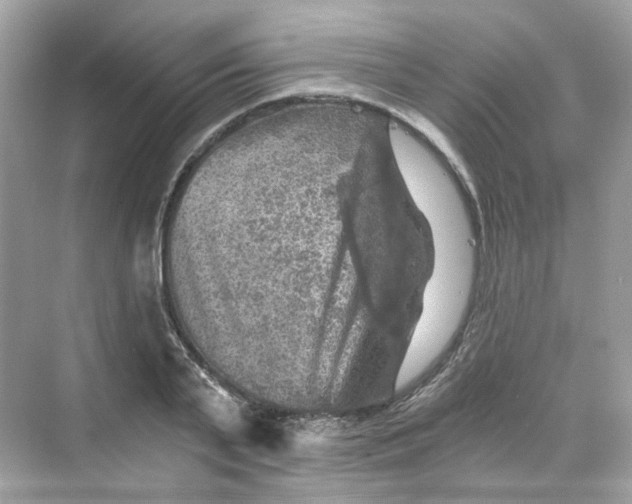 X0000069810791200606091833