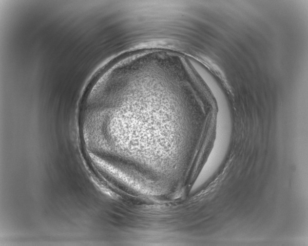 X0000069810792200606091833