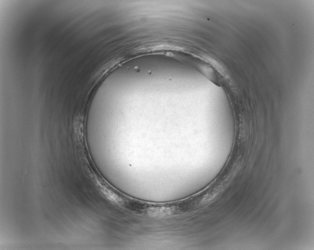 X0000069810793200606091833