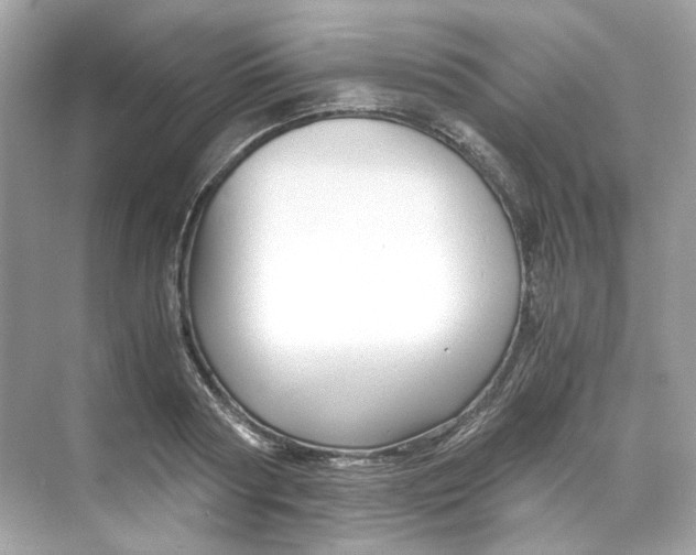 X0000069810794200606091833