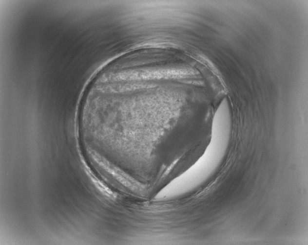 X0000069810795200606091833