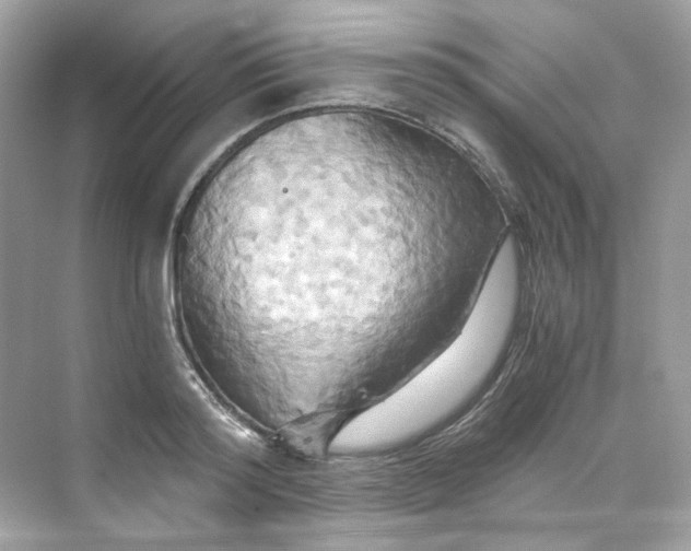 X0000069810796200606091833