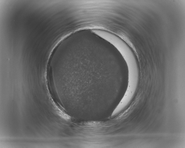 X0000069810797200606091833