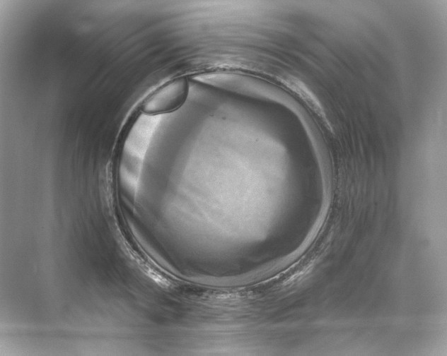 X0000069810798200606091833