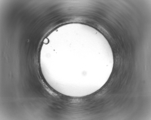 X0000069810800200606091833