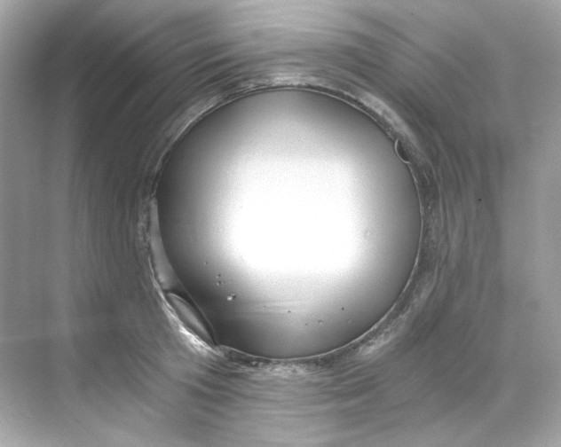 X0000069810801200606091833