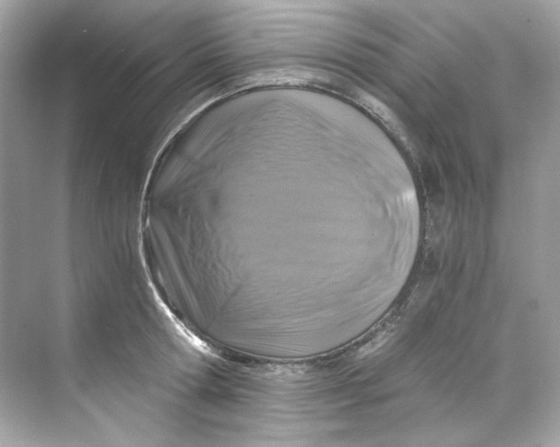 X0000069810802200606091833