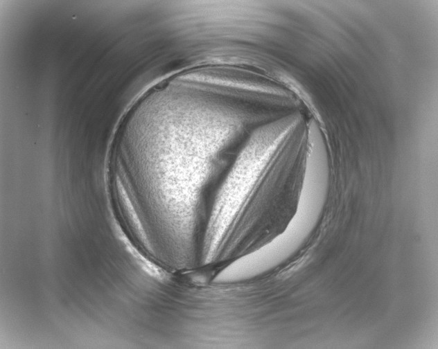 X0000069810803200606091833