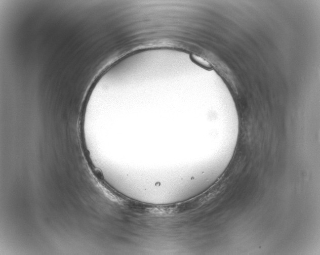 X0000069810805200606091833