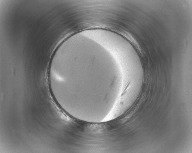 X0000069810806200606091833