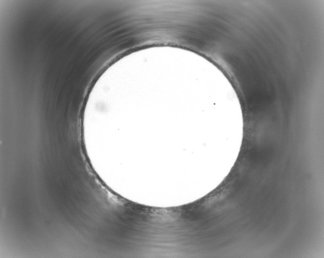 X0000069810807200606091833