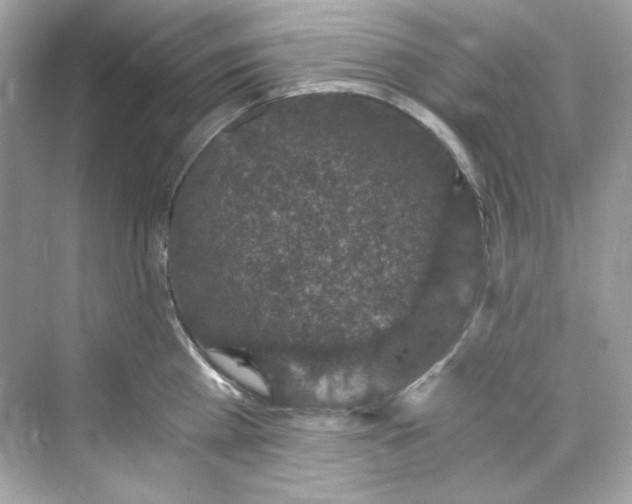 X0000069810809200606091833