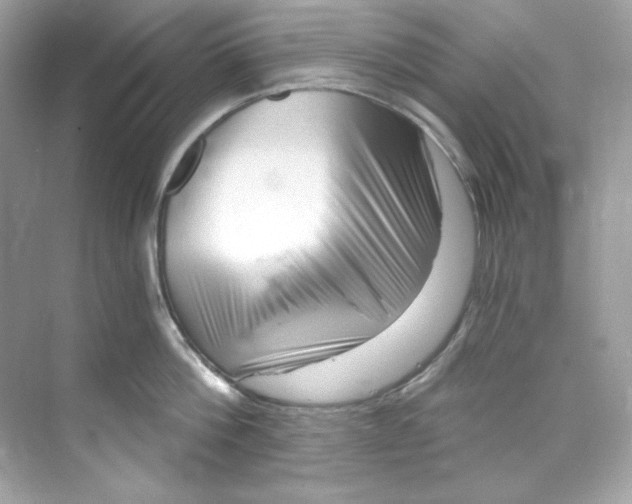 X0000069810812200606091833