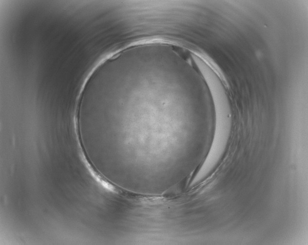 X0000069810813200606091833