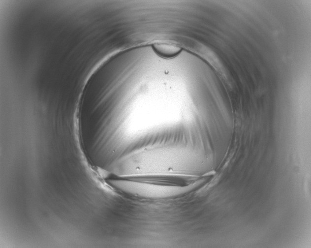 X0000069810814200606091833