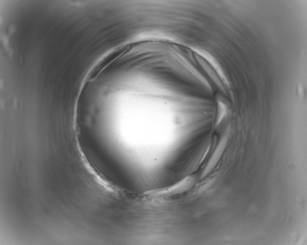 X0000069810815200606091833