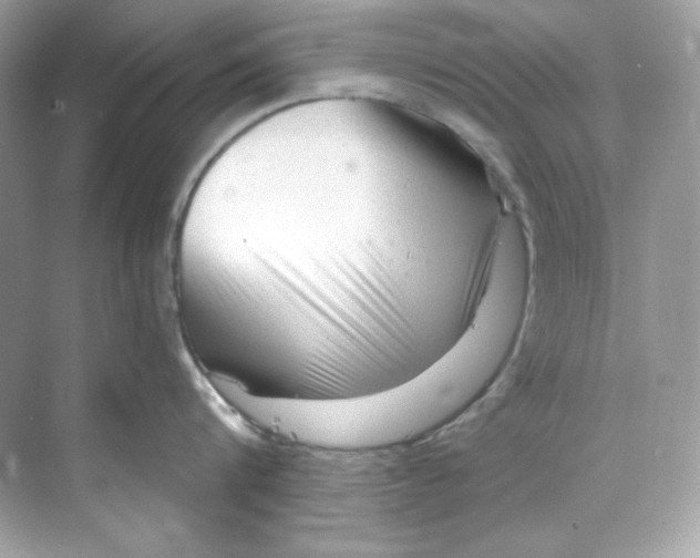 X0000069810816200606091833