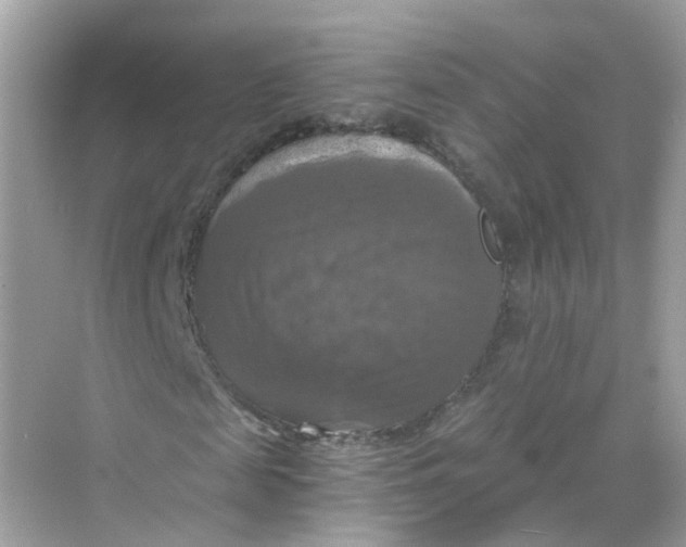 X0000069810817200606091832