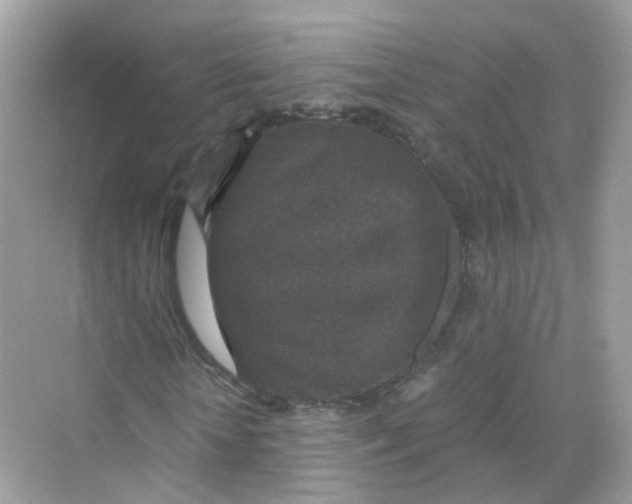 X0000069810818200606091832