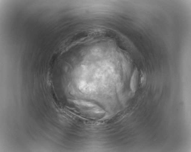 X0000069810819200606091832