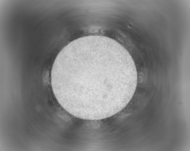 X0000069810820200606091832