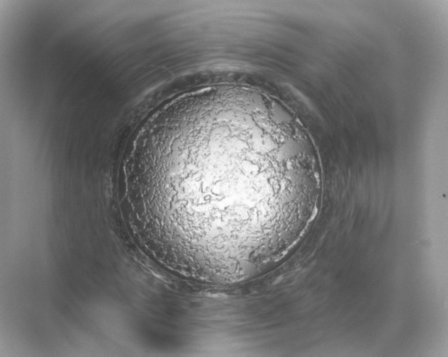 X0000069810821200606091832