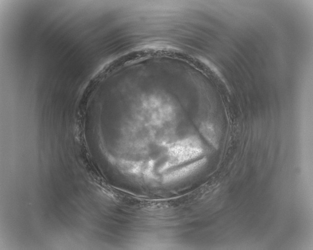 X0000069810823200606091832