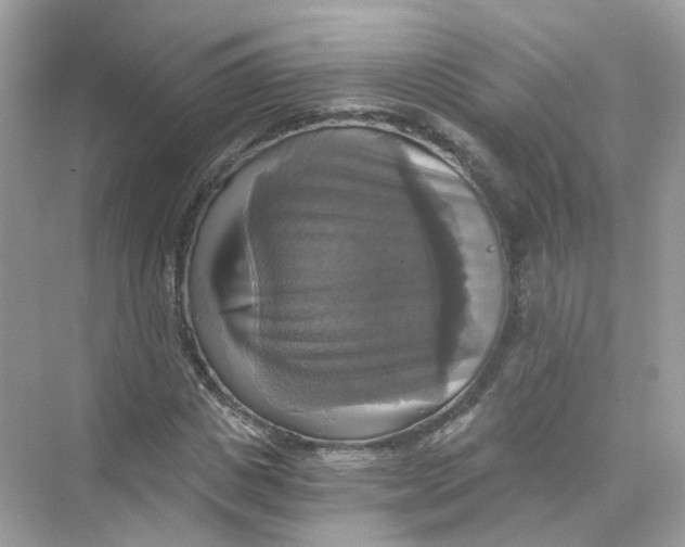 X0000069810825200606091832