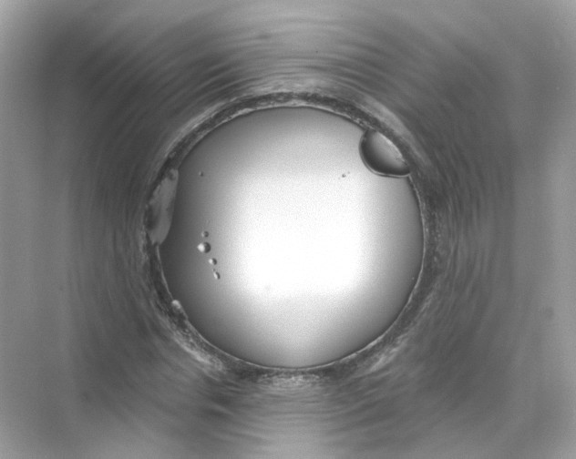 X0000069810826200606091832