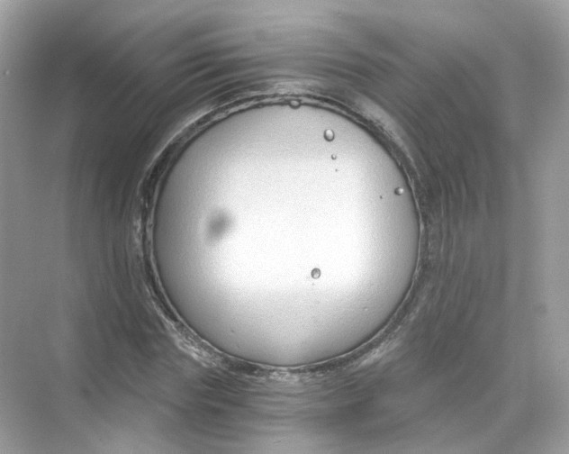 X0000069810827200606091832